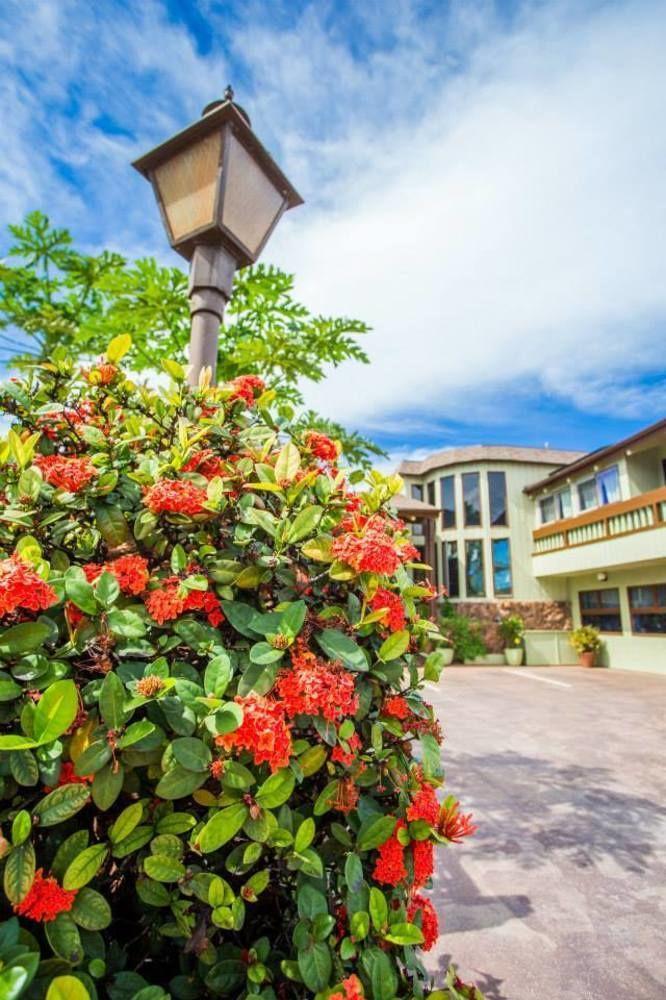 House Of Fountains Bed and Breakfast Lahaina Εξωτερικό φωτογραφία